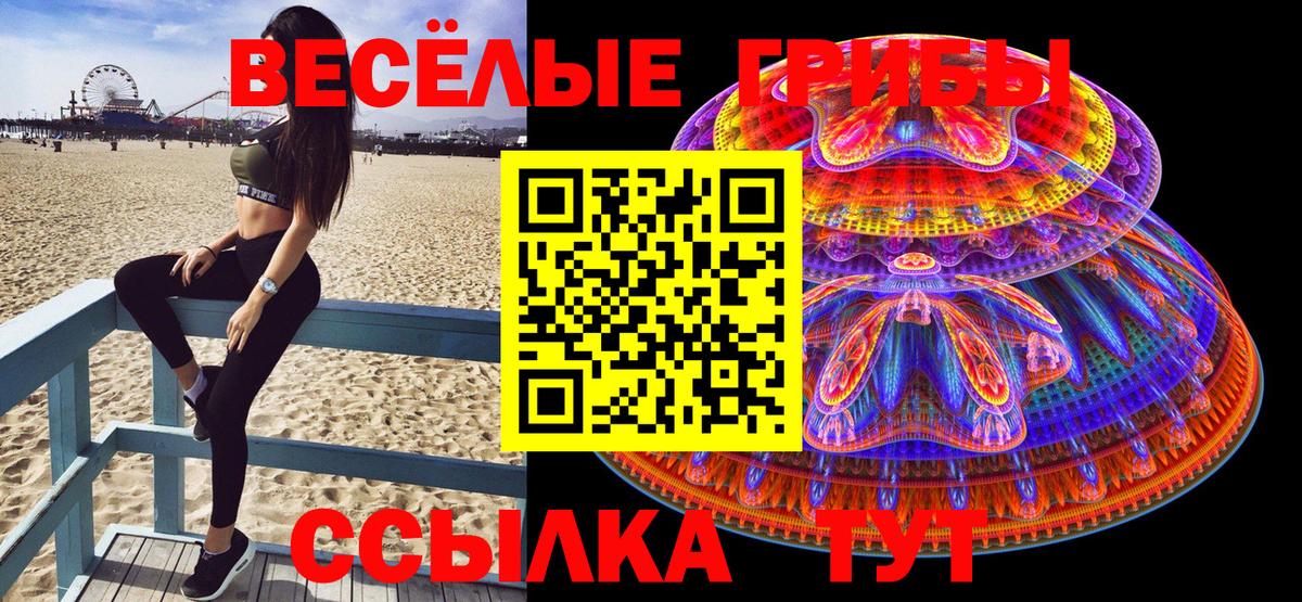 Крымск  Галлюциногенные грибы прущие грибы  Вход с VPN 